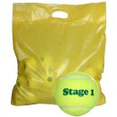 Astis Stage 1 Green x 60