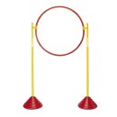 Wilson poles and hoop set