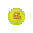 Dunlop Trainer 72 balls