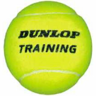 Dunlop Training 120 balles