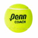 Penn Coach x 3 balls