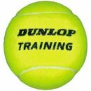 Dunlop Training x 60 Yellow inc. Eimer